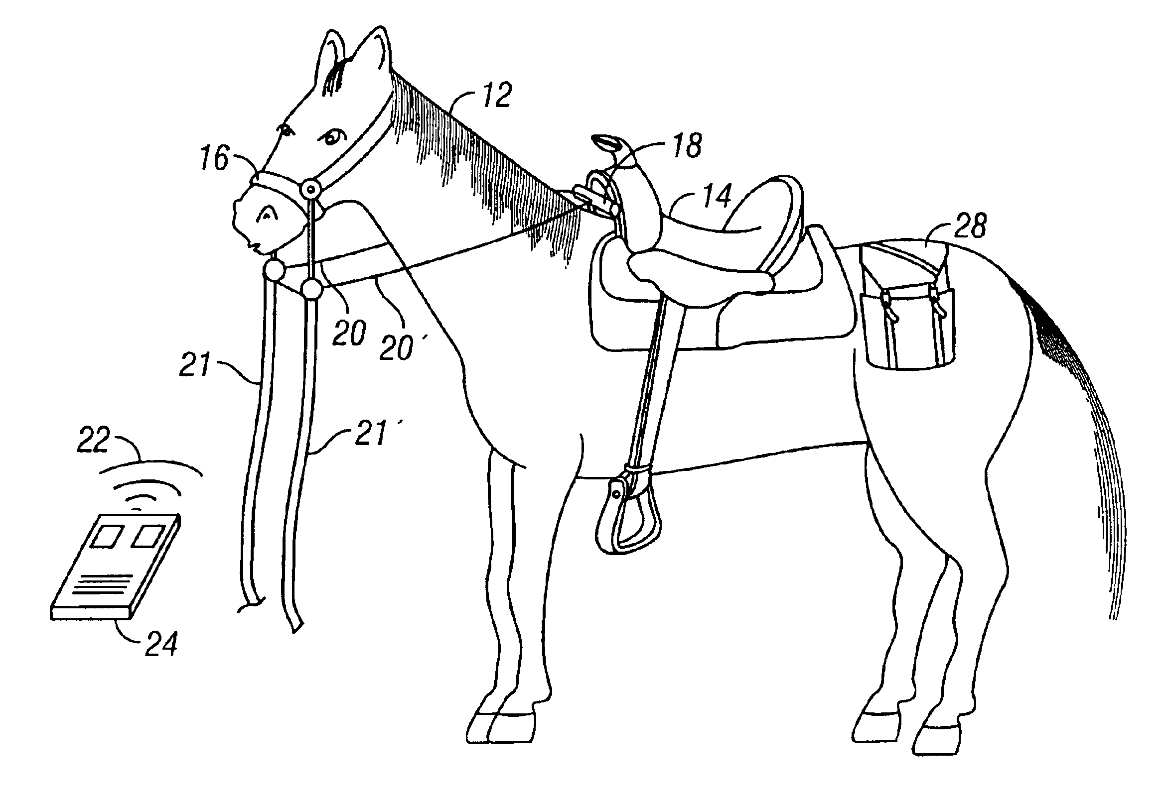 Apparatus and method for controlling an animal
