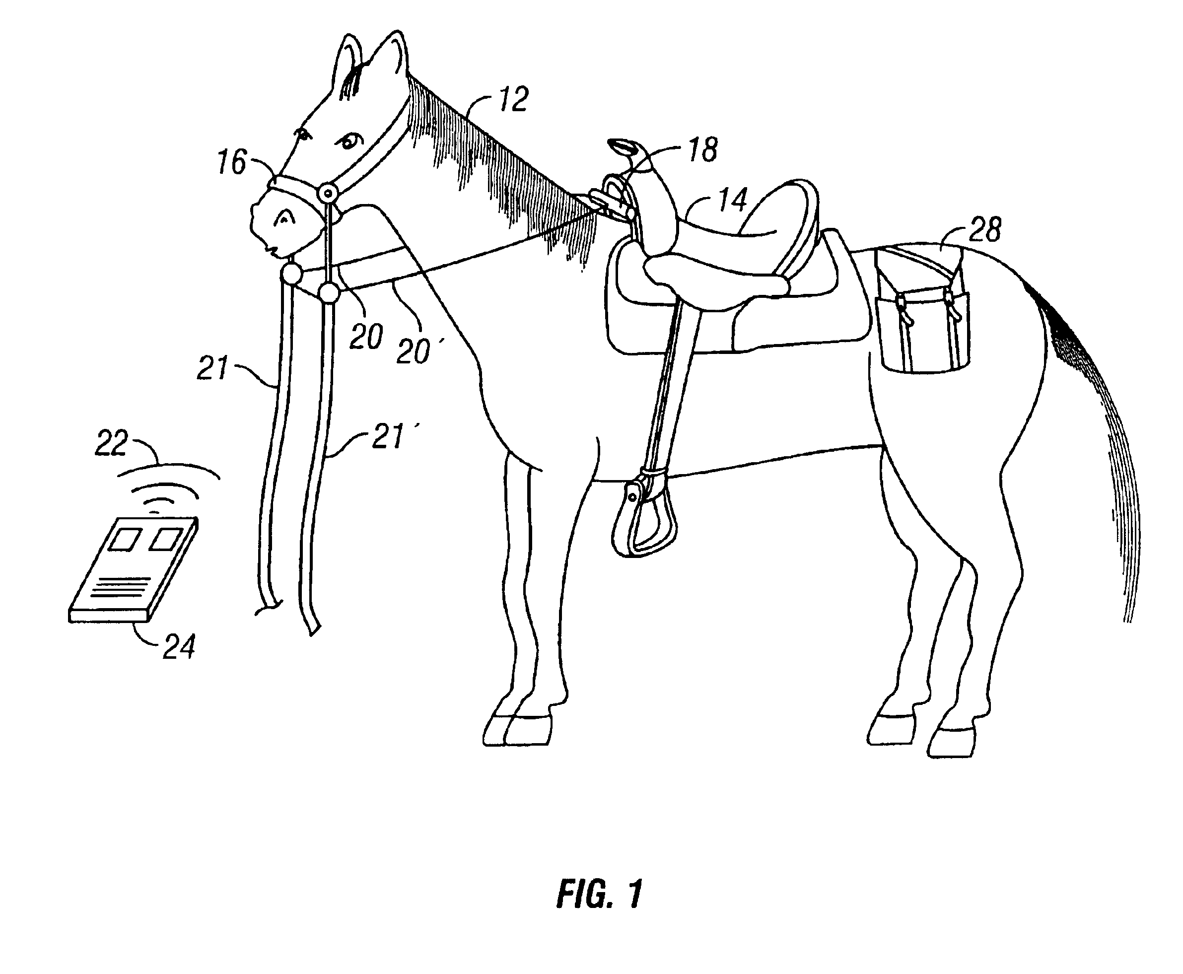 Apparatus and method for controlling an animal
