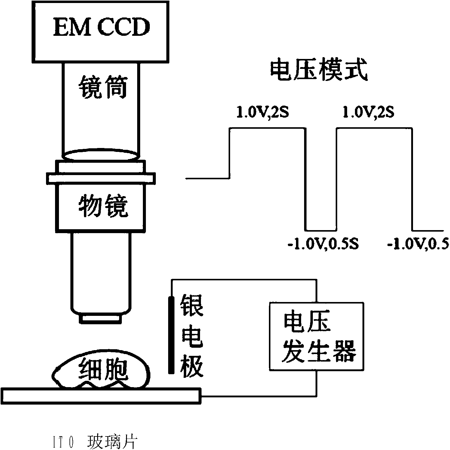 Electrochemiluminescent imaging device and applications thereof