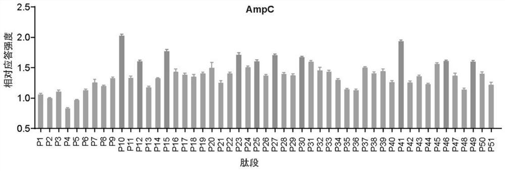 Multi-epitope fusion protein for preventing pseudomonas aeruginosa infection and encoding gene, expression vector and application thereof
