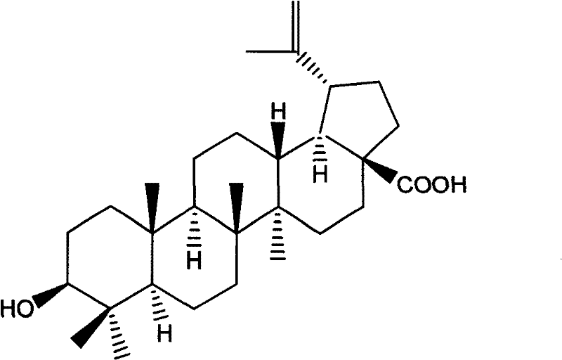 Betulinic acid analogue and preparation method and application thereof