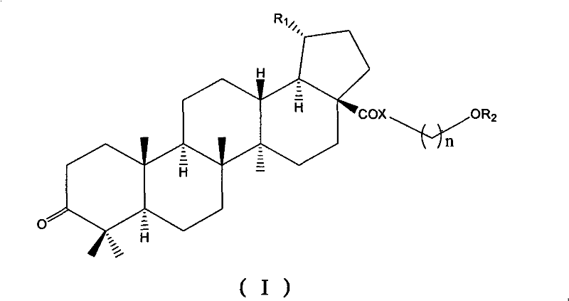 Betulinic acid analogue and preparation method and application thereof