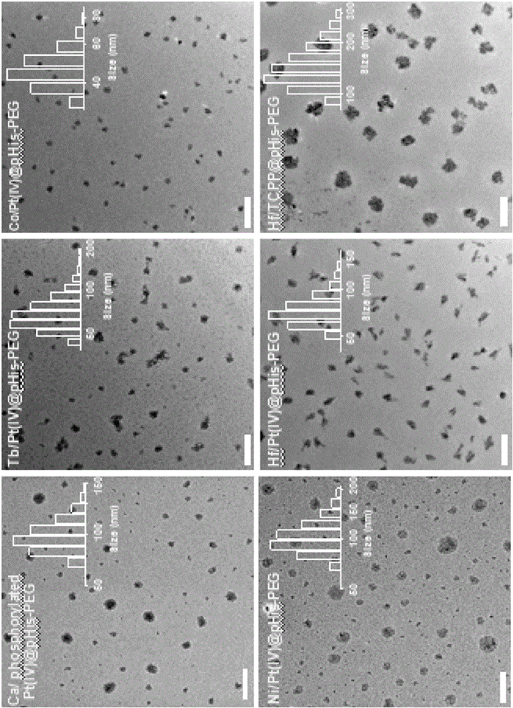 Polyethylene glycol modified metal organic nano material and preparation method and application thereof