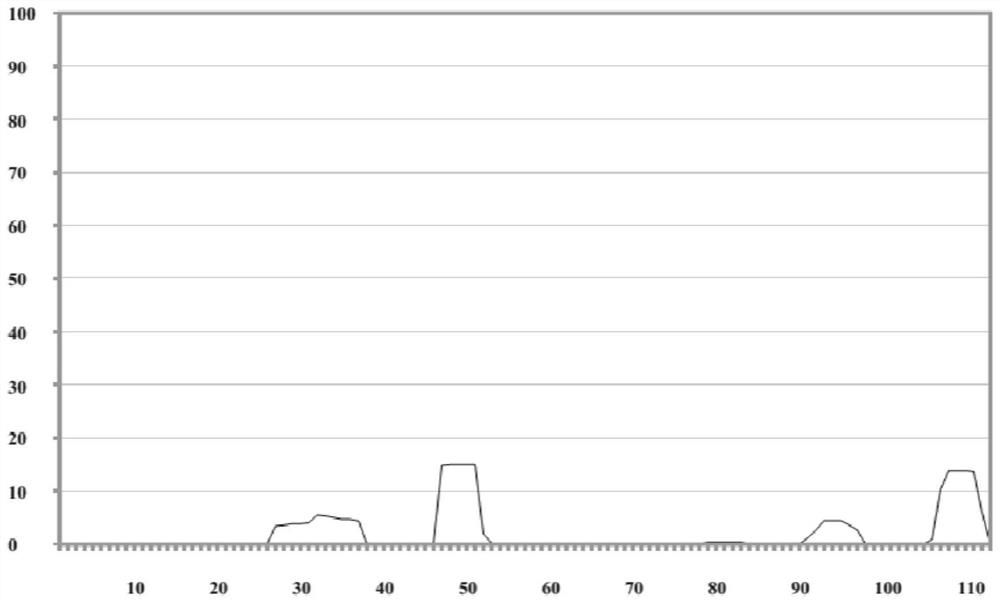 Human monoclonal antibody against protein tag streptactin