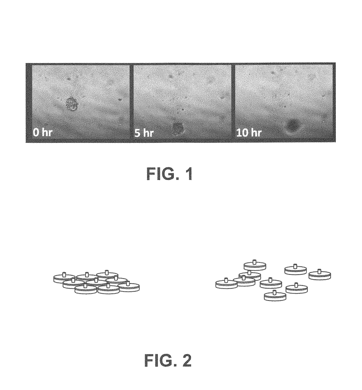 Biologically inspired algorithm based method for near real-time tracking of moving objects in three dimensional environment