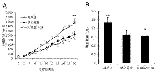 An m-nitroarylmethoxy camptothecin anoxic activation prodrug for antitumor drugs