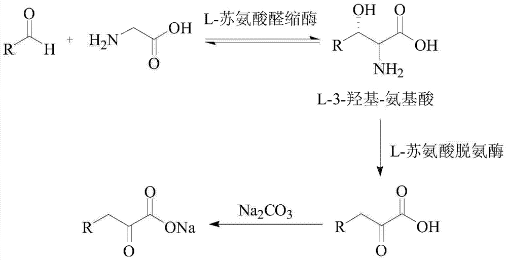 Method for synthesizing high-purity 2-keto acid salt