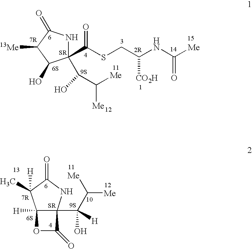 Synthesis of clasto-lactacystin .beta.-lactone and analogs thereof