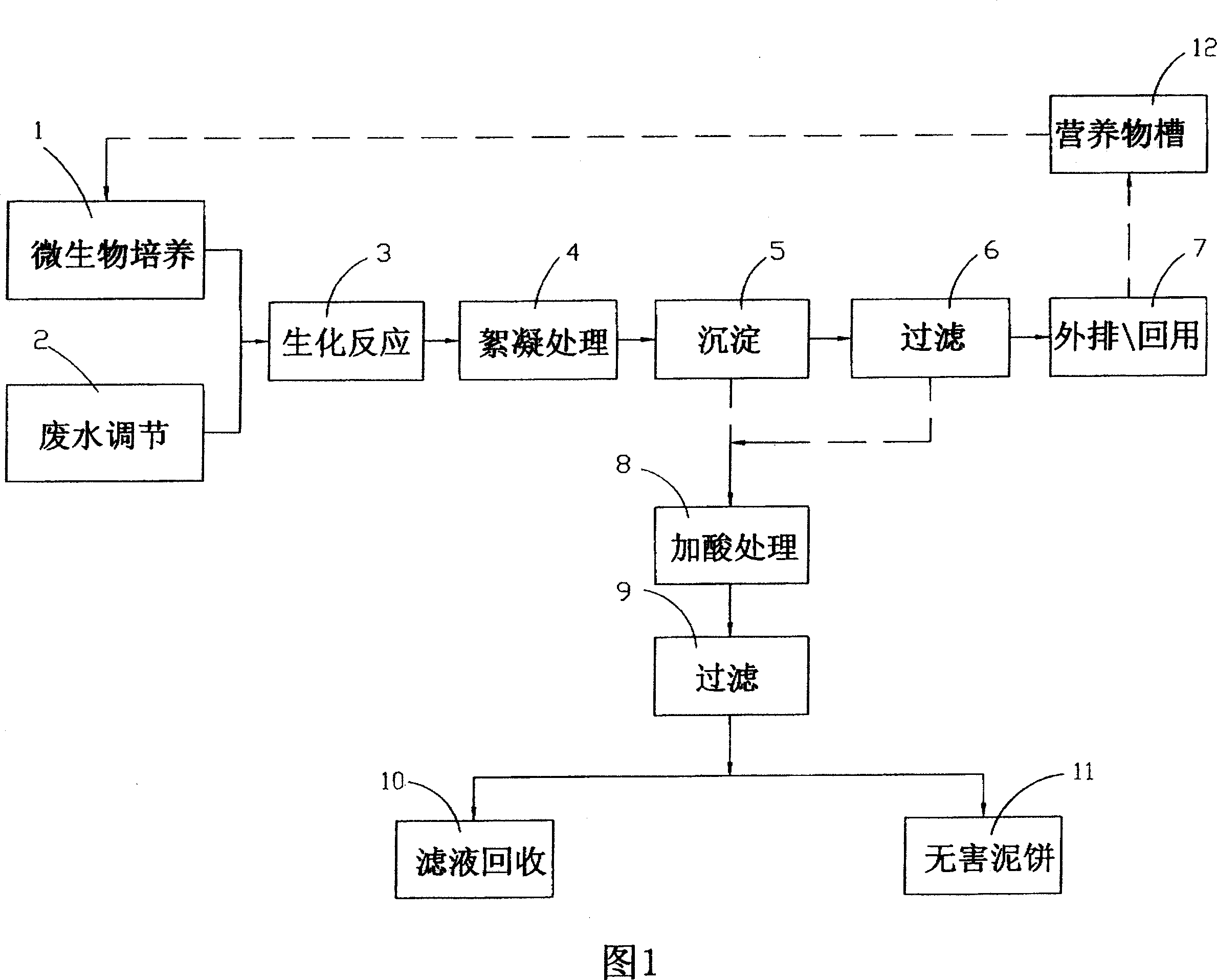 Microbial apparatus for treating high concentration waste chromium solution