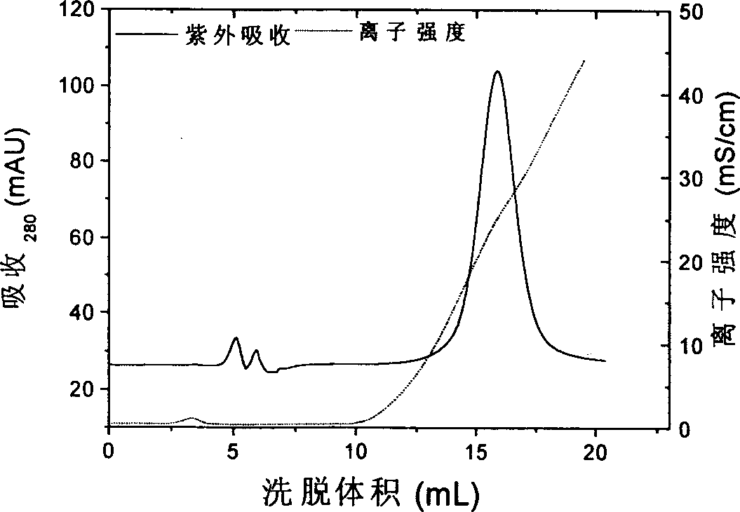 Method of inclusion body protein renaturation and purification at the same time