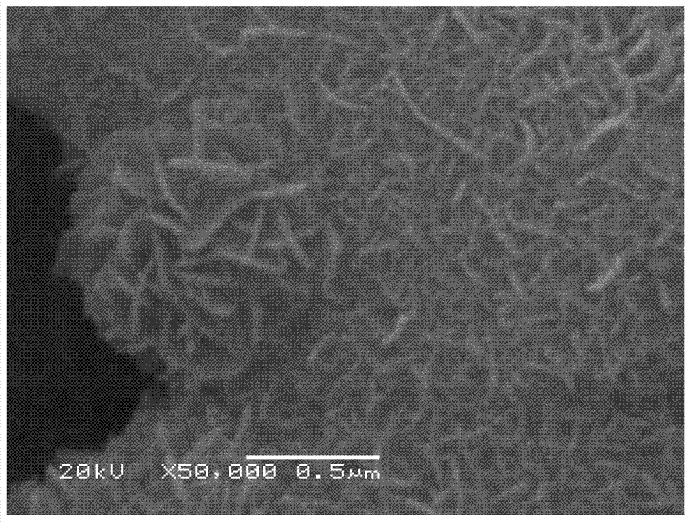 Method for preparing aluminum-base super-amphiphobic surface