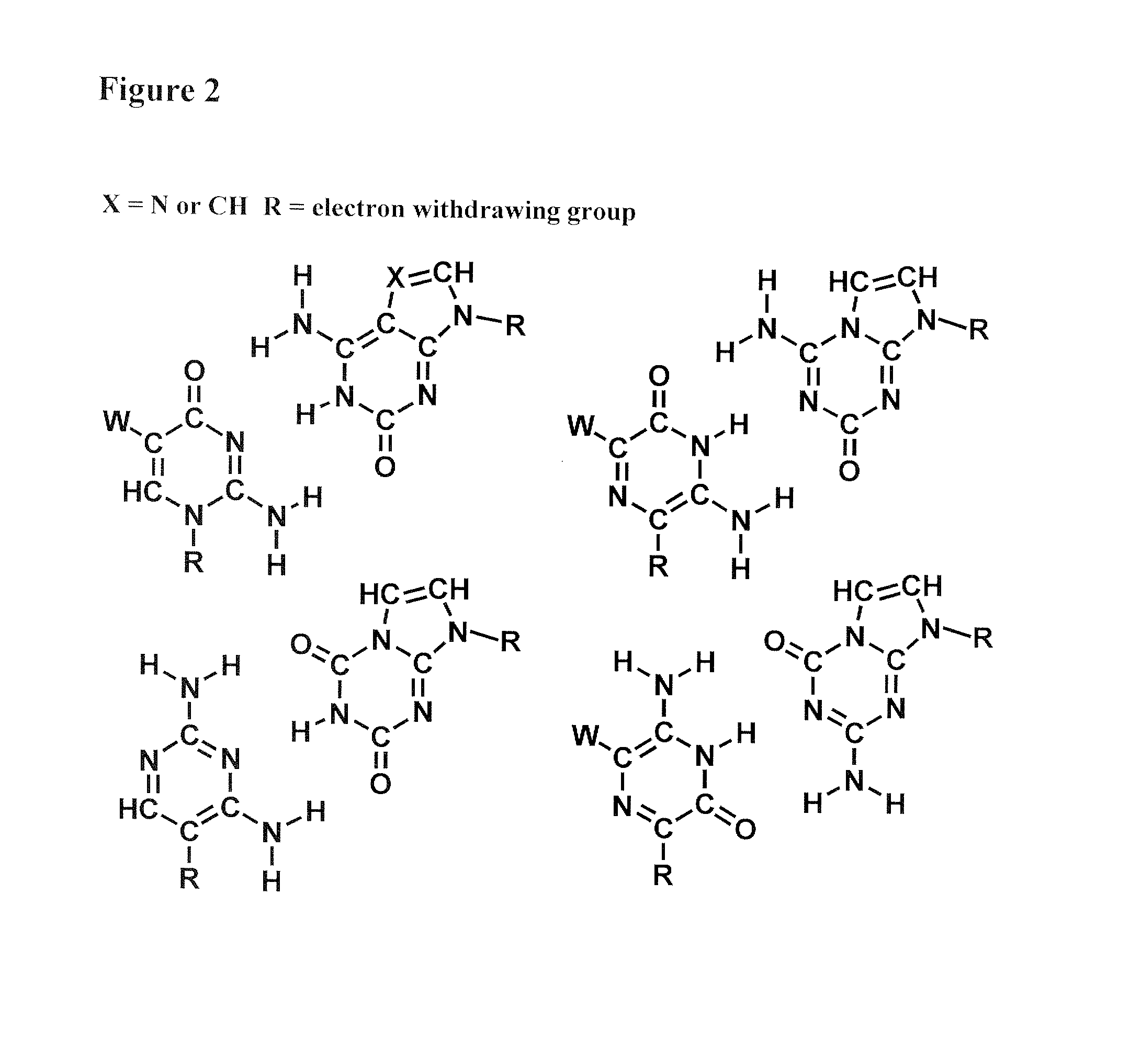 Recombinase-based amplification with substitute nucleotides