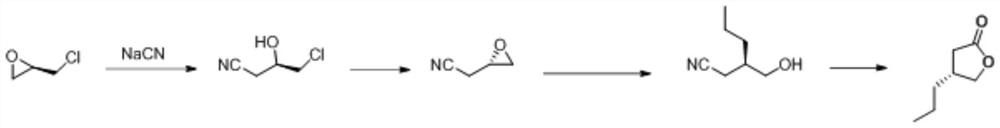 Synthesis method of (R)-4-propyldihydrofuran-2-ketone