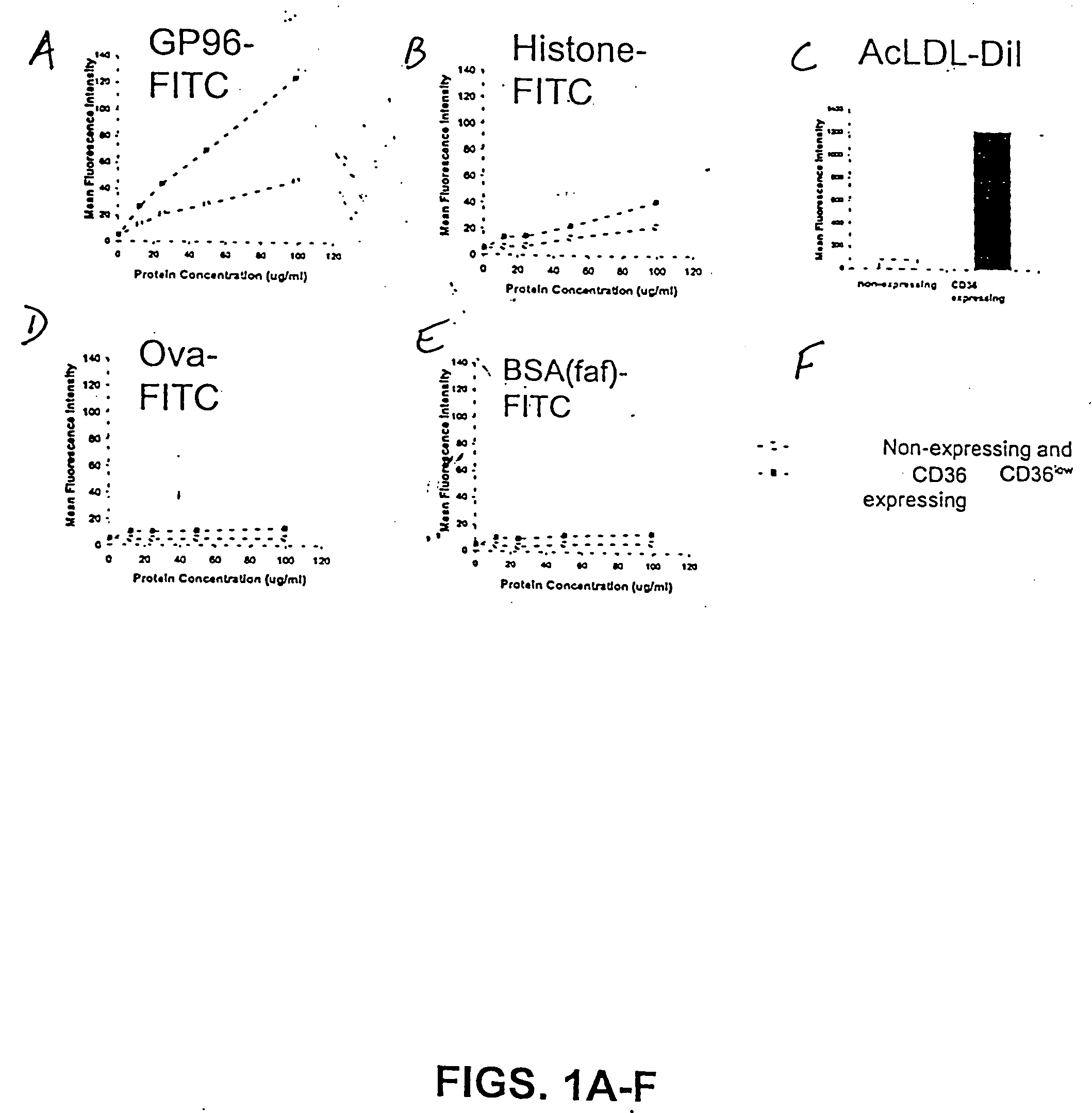 Cd36 as a heat shock protein receptor and uses thereof