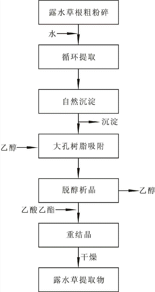 Cyanotis root extract rich in beta-ecdysone and preparation method thereof