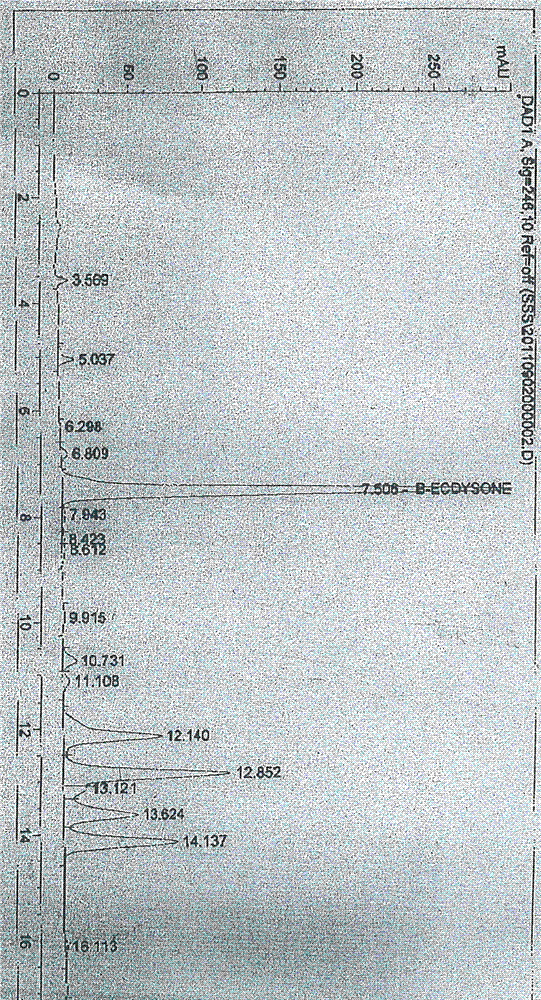 Cyanotis root extract rich in beta-ecdysone and preparation method thereof