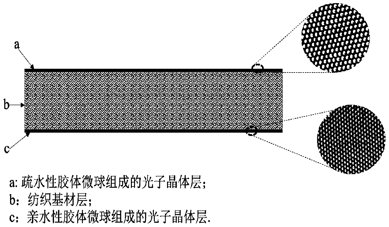 Structural chromogenic textile with asymmetric wetting characteristics as well as preparation method and application thereof