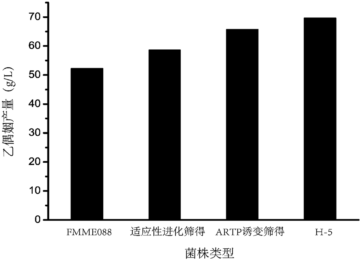 Acetoin high-yield strain and application thereof in fermentation to produce acetoin