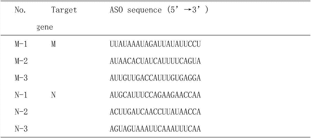 A kind of anti-avian infectious bronchitis virus peptide nucleic acid and its application