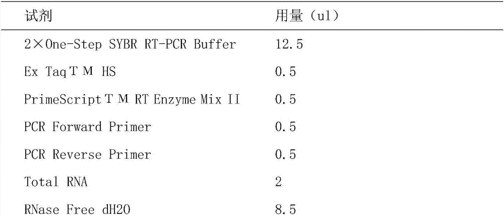 A kind of anti-avian infectious bronchitis virus peptide nucleic acid and its application