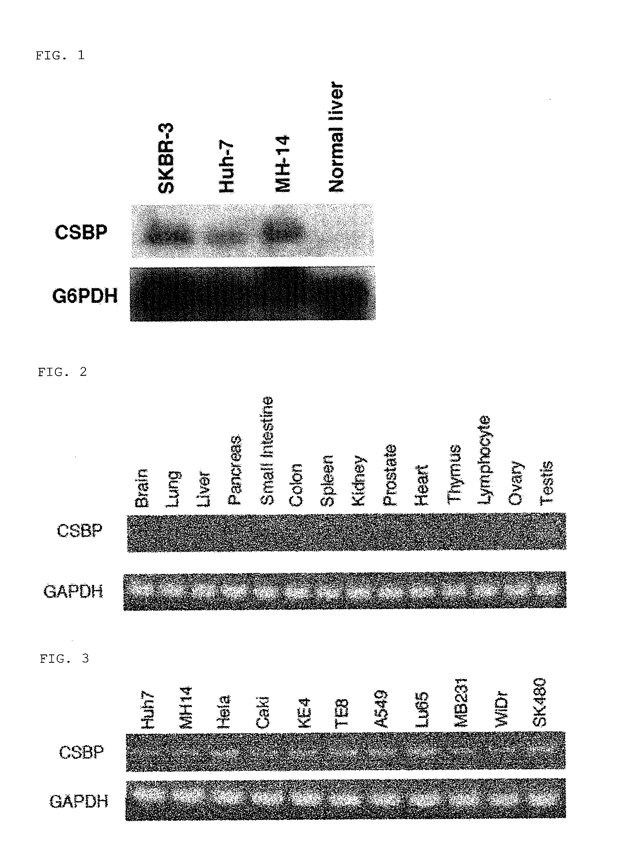 Cyclosporin a-binding protein