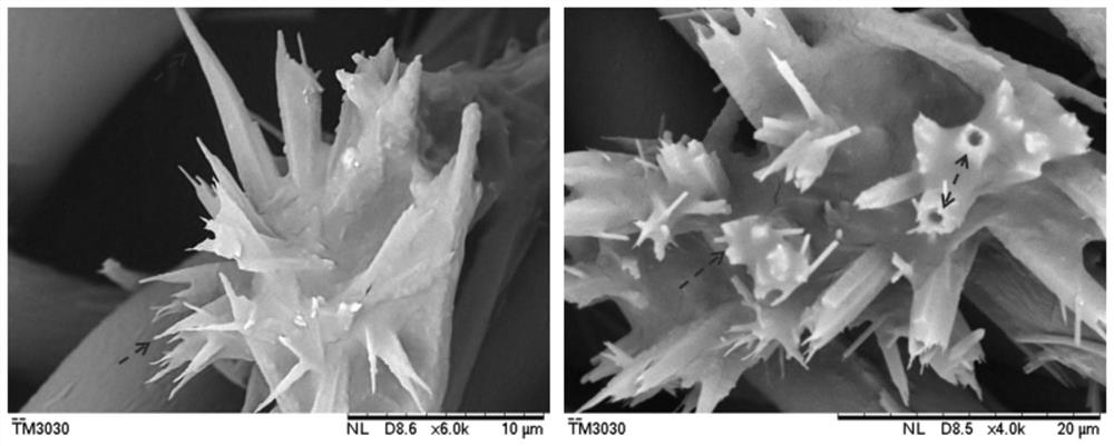 Hydrophobic fabric and preparation method thereof