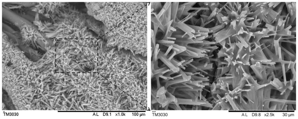 Hydrophobic fabric and preparation method thereof