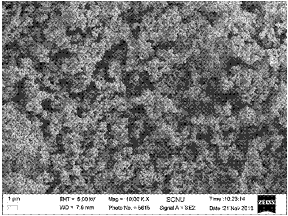 Co2SnO4/C nano-composite negative electrode material for lithium ion battery, preparation and application of Co2SnO4/C nano-composite negative electrode material