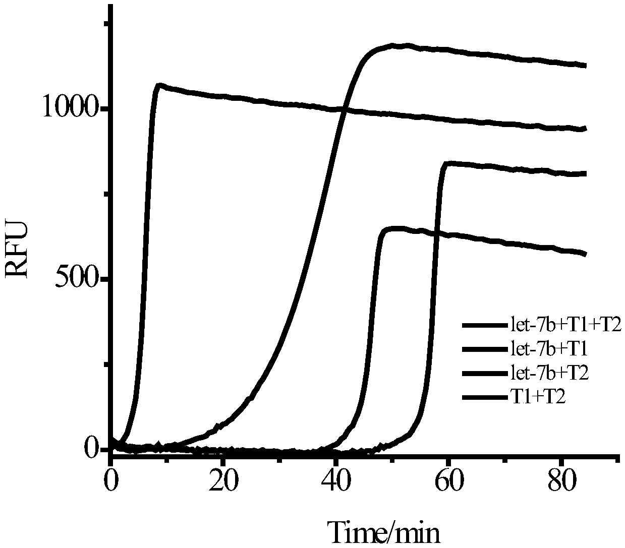 Method for low-sequence-dependence and high-order constant-temperature-index amplification testing of microRNA