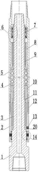 An oil-sealed screw drilling tool transmission shaft assembly with pressure compensation function