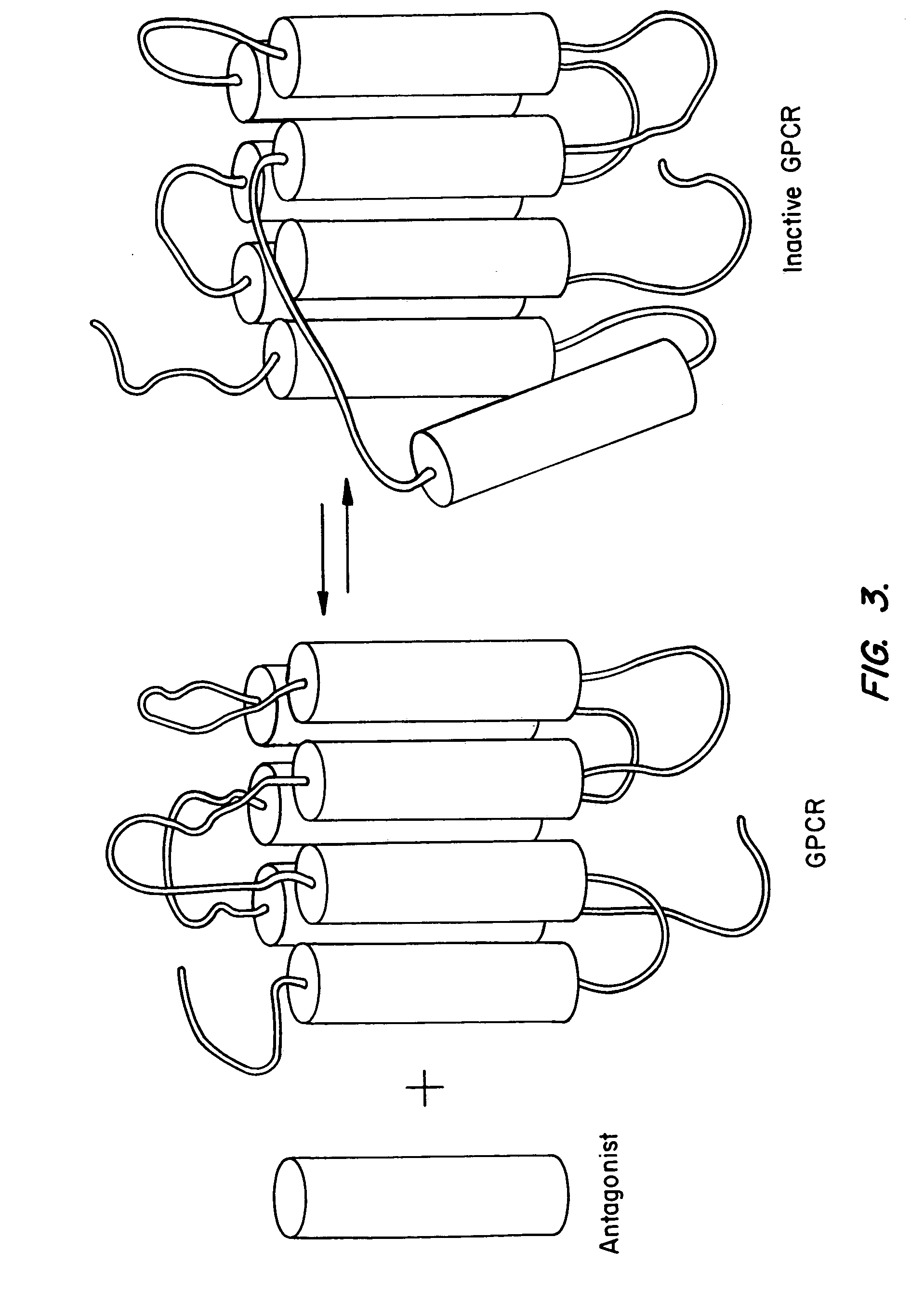 G protein-coupled receptor antagonists