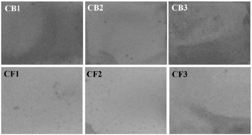 A kind of wear-resistant and alkali-resistant ferrocene-zinc composite electroplating solution and its application