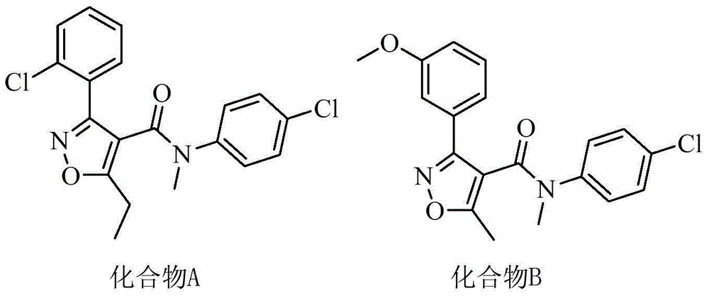 Amide compound and application thereof as TGR5 agonist