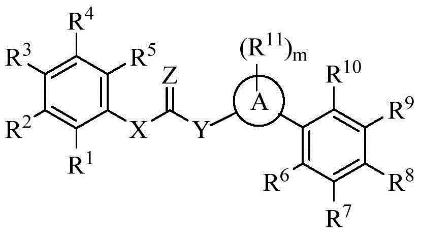 Amide compound and application thereof as TGR5 agonist