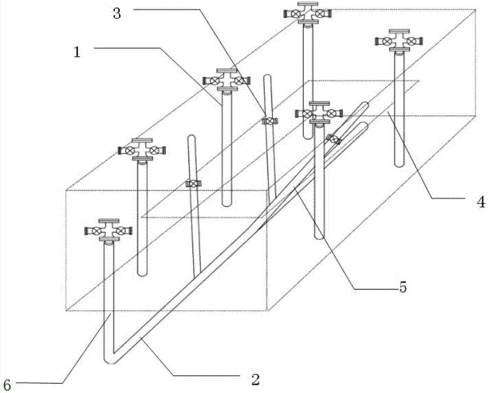 Well network structure for extra-heavy oil reservoir and oil extraction method
