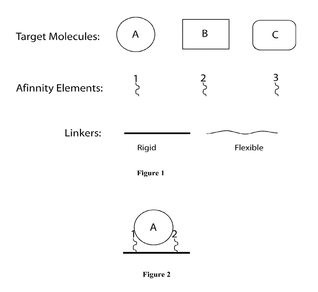 Synthetic antibodies