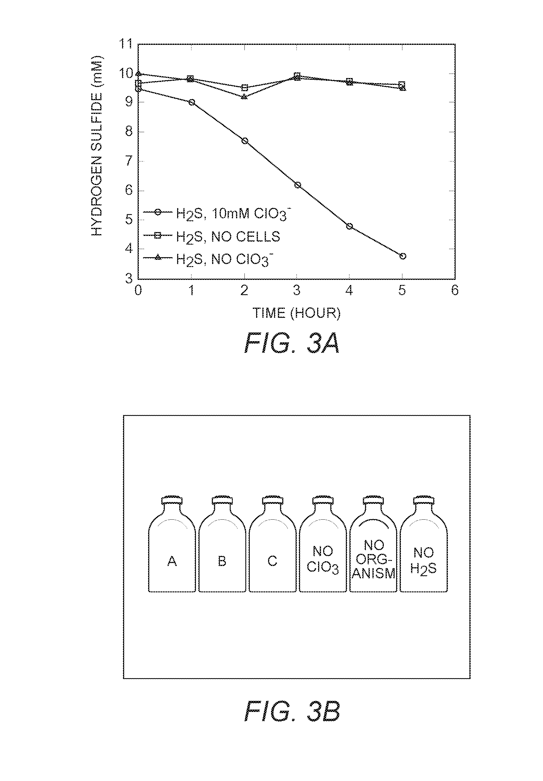 Microbial metabolism of chlorine oxyanions as a control of biogenic hydrogen sulfide production