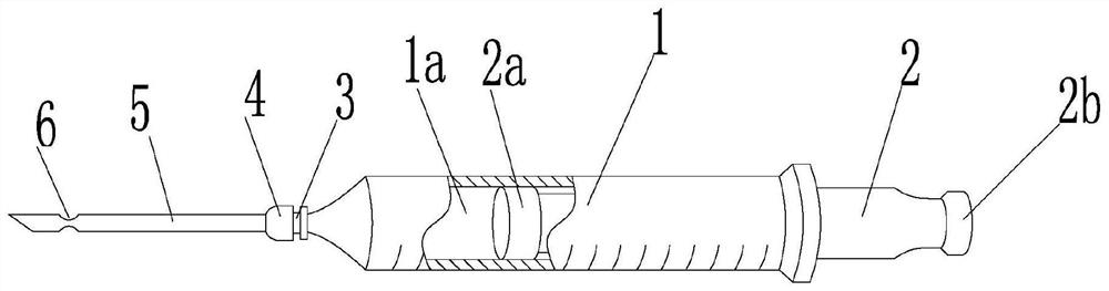 A method for making animal specimens of hairless vertebrates and the syringe used