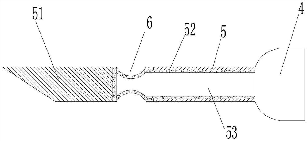 A method for making animal specimens of hairless vertebrates and the syringe used