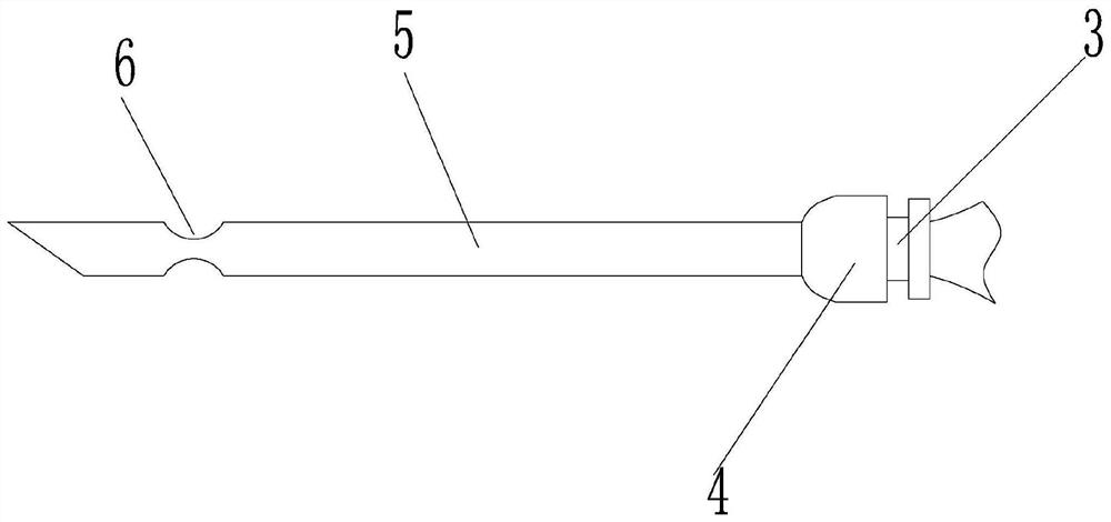 A method for making animal specimens of hairless vertebrates and the syringe used