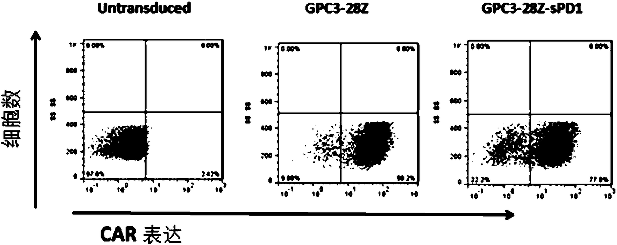 Chimeric antigen receptor-modified immune effector cell co-expressing PD-L1 blocker