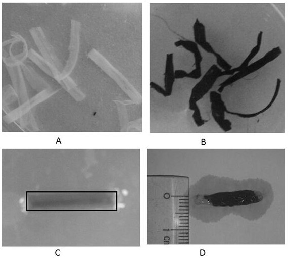 Artificial nerve graft and preparation method based on sliced ​​decellularized scaffold