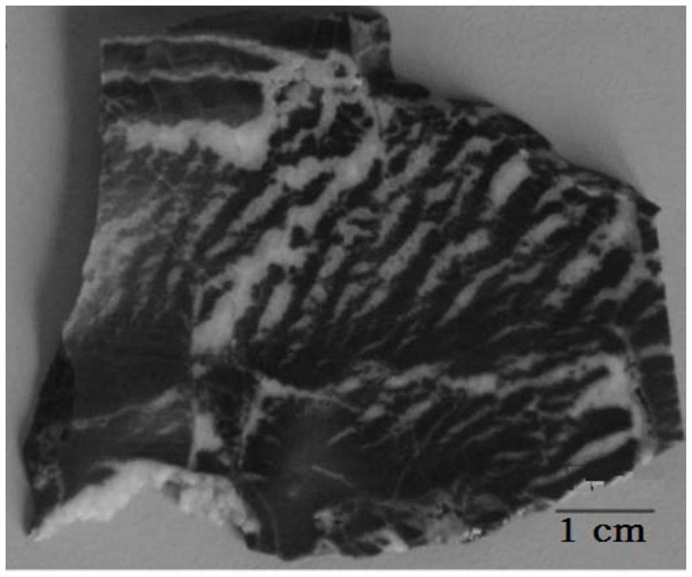 A laser in situ uranium-lead isotope dating method for ancient marine carbonate rocks