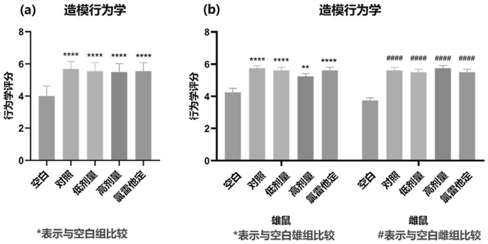 Application of sulforaphane in preparation of medicine for treating rhinitis