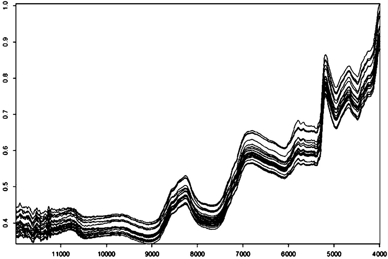 Near-infrared spectroscopy model for detecting content of erucic acid in peanut seeds and application