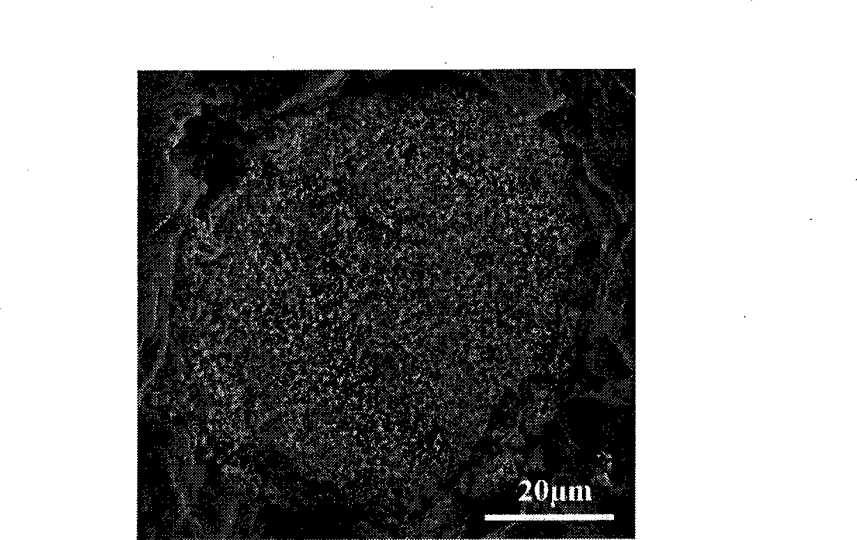 Ceramic material with amorphous/nanocrystalline structure and method of producing the same