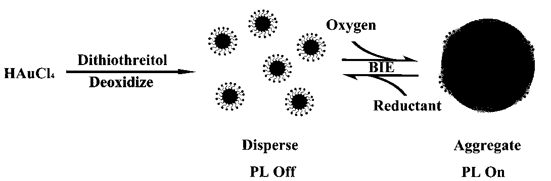 A kind of preparation method and application of thiol-modified gold nanocluster