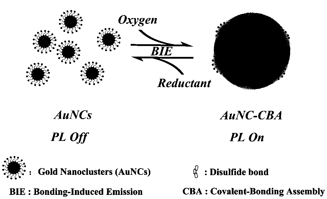 A kind of preparation method and application of thiol-modified gold nanocluster