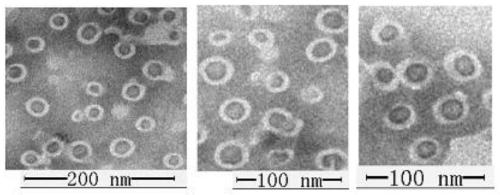 Sea cucumber saponin nano liposome capable of being injected for drug administration and preparation method thereof