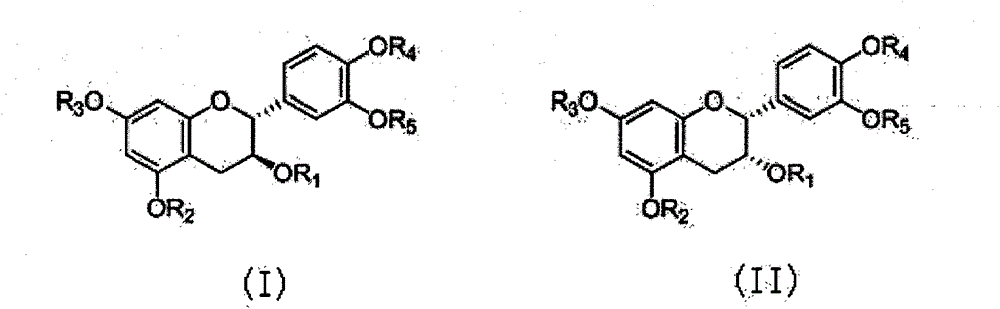 Catechu extract composition for resisting tubercle bacillus, preparation method of catechu extract composition, pharmaceutical preparation containing catechu extract composition, and application of catechu extract composition